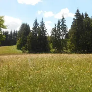 De La Montagne D'ance Chastreix